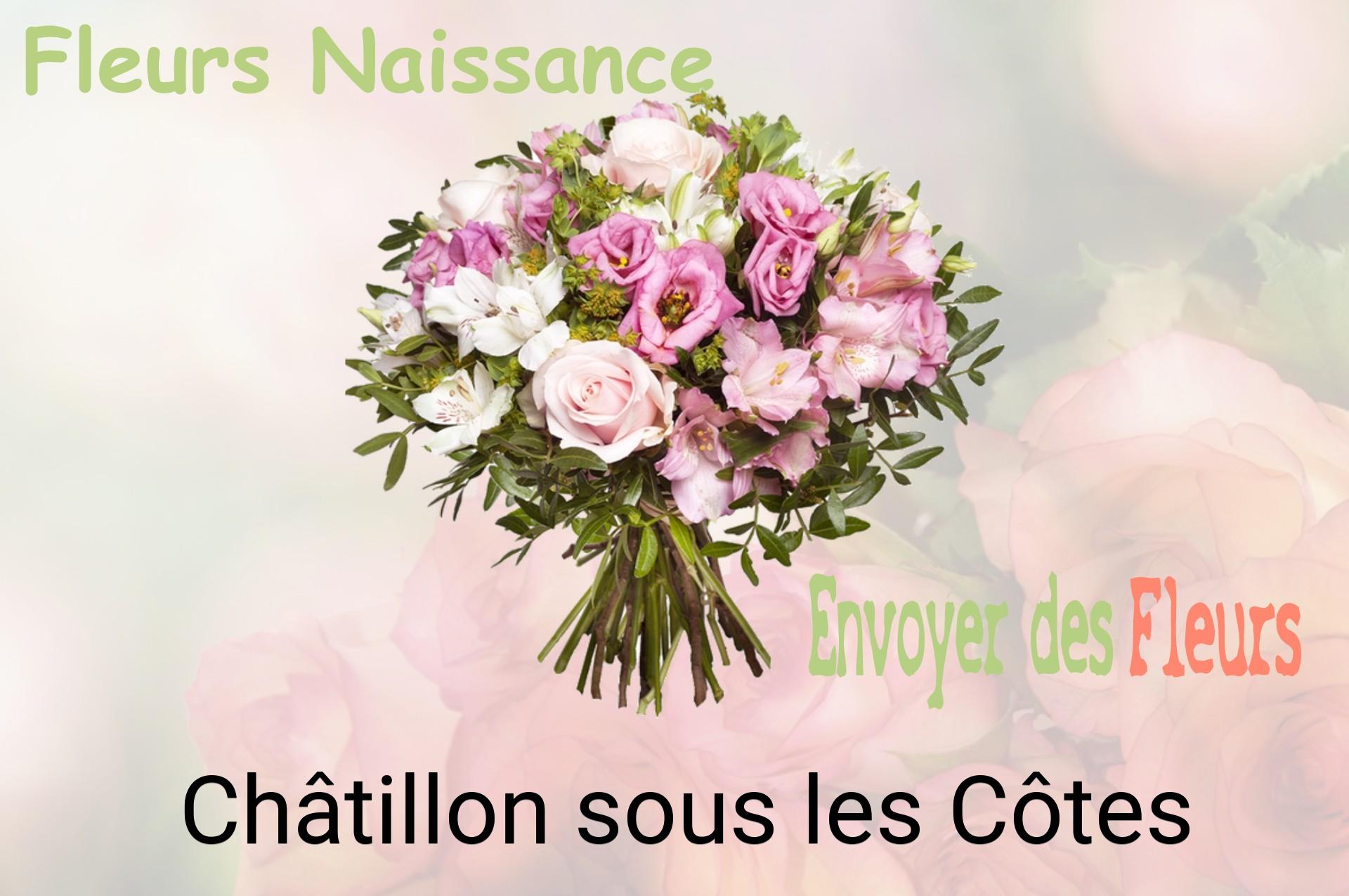 Bouquet de fleurs de naissance livré à Châtillon-sous-les-Côtes