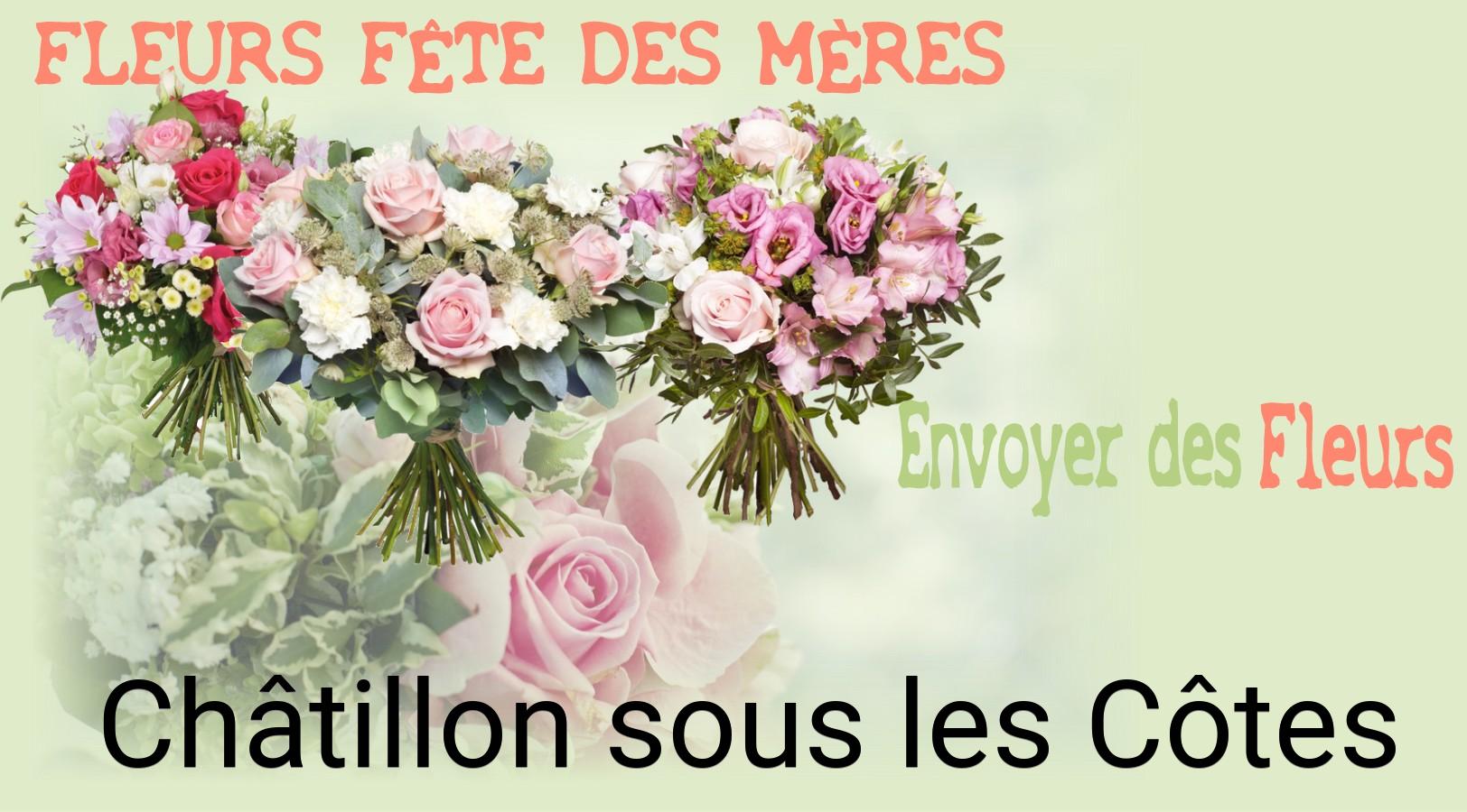 Bouquet de Fête des Mères livré à Châtillon-sous-les-Côtes